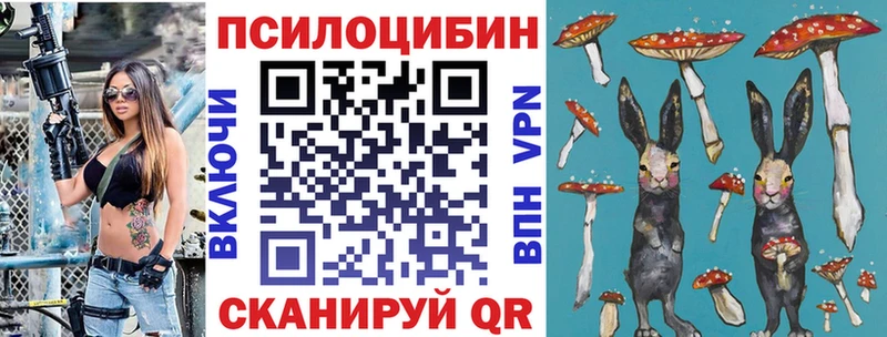 продажа наркотиков Усть-Джегута Псилоцибиновые грибы GOLDEN TEACHER